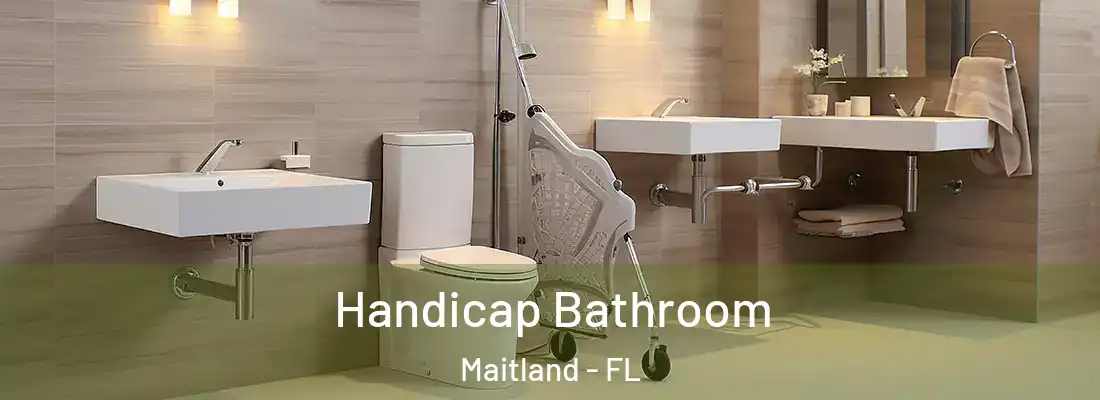  Handicap Bathroom Maitland - FL